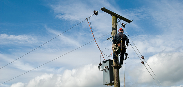 Worker on Pole